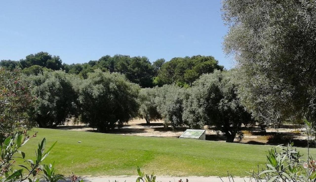 Casa Joleen 2 Villamartin  Exteriör bild